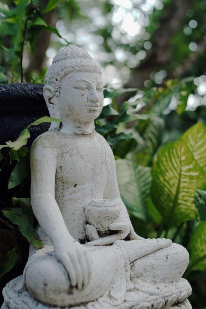 Sattva Yoga Retreat Villas تْشانغو المظهر الخارجي الصورة